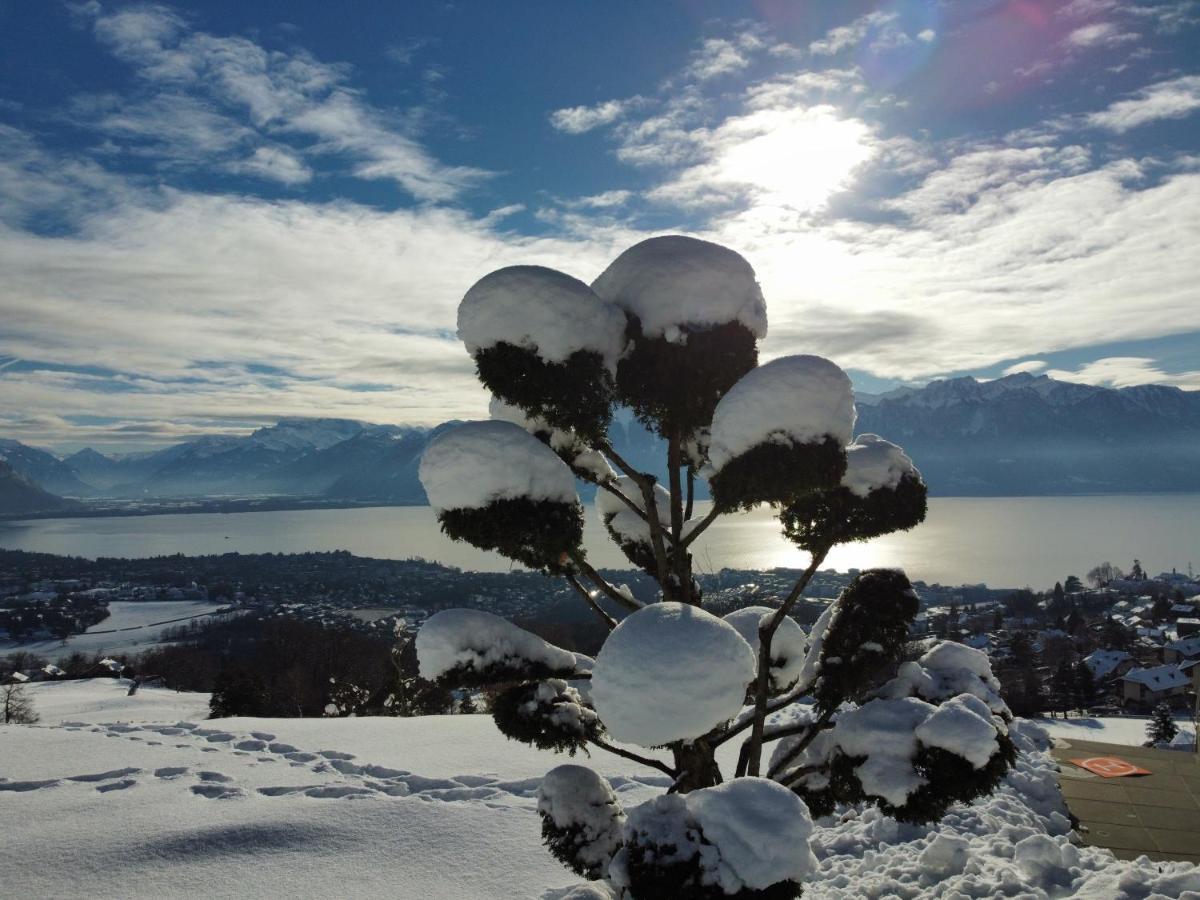 Appartement Moderne Avec Vue Panoramique A Jongny Proche De Montreux Zewnętrze zdjęcie